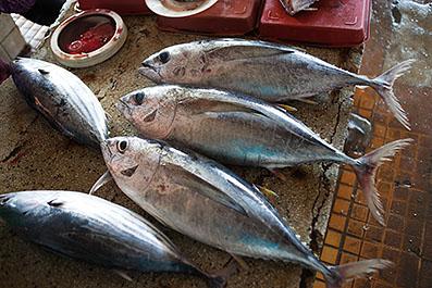 HoiAn34