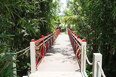 HoiAn42