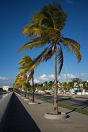 Cienfuegos10