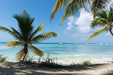 Bayahibe05