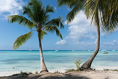 Bayahibe08