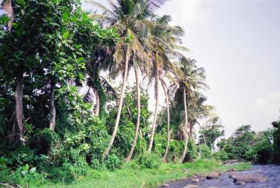 Guadeloupe04