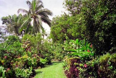Guadeloupe06