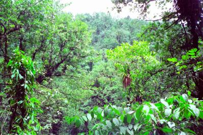 Guadeloupe08