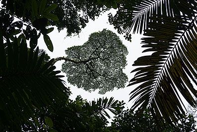 LaFortuna03
