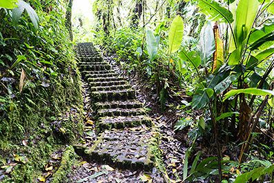 Monteverde11