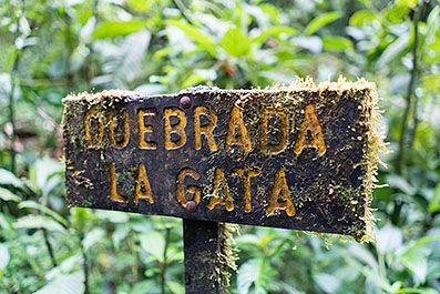Monteverde18