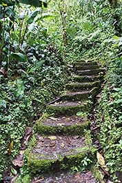 Monteverde21