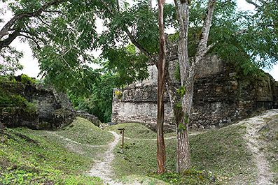 Tikal10