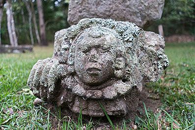 Copan10