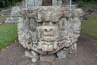 Copan11