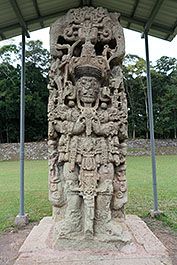 Copan12