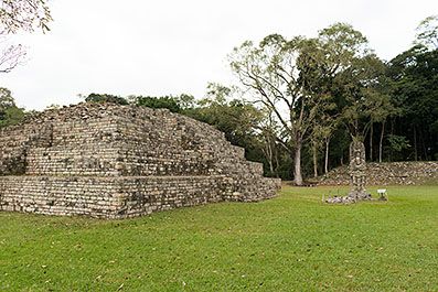 Copan14