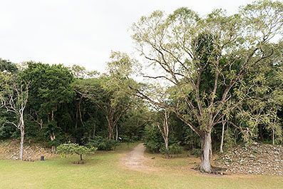 Copan17