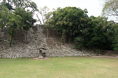 Copan21