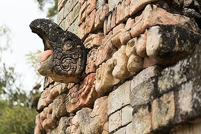 Copan22