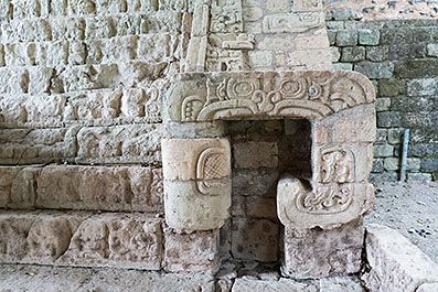 Copan24