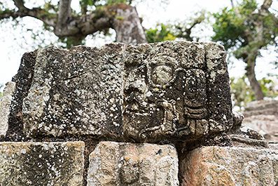 Copan27