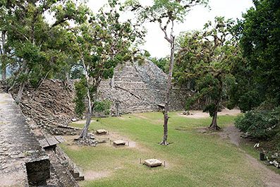 Copan28