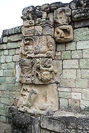 Copan29