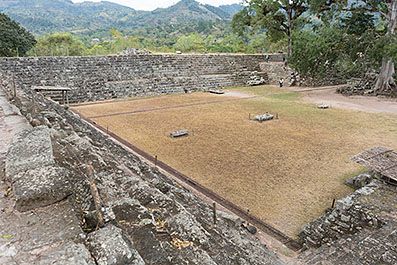 Copan31