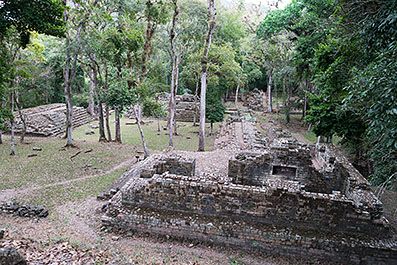Copan34