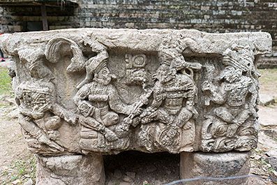 Copan35