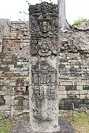 Copan36