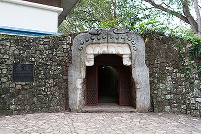 Copan37