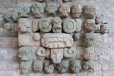 Copan41