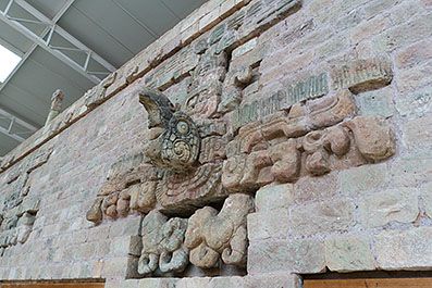 Copan45
