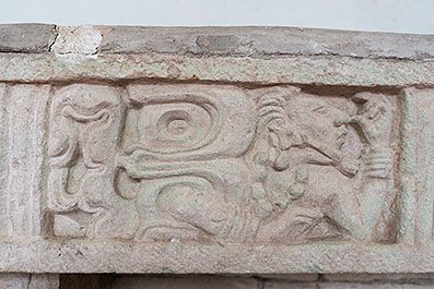 Copan49