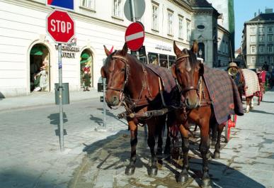Vienna19