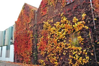 Bruges03