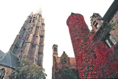 Bruges27