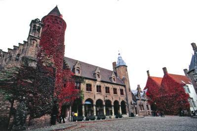 Bruges29