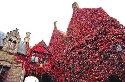 Bruges31
