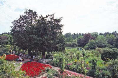 Giverny01