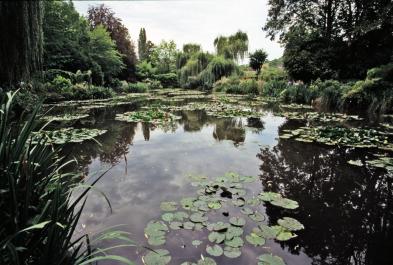 Giverny08