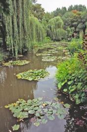 Giverny10