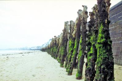 StMalo02