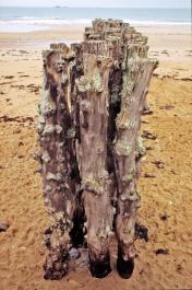 StMalo13