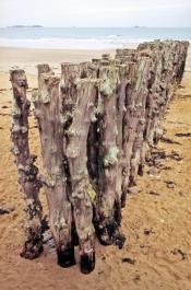 StMalo14