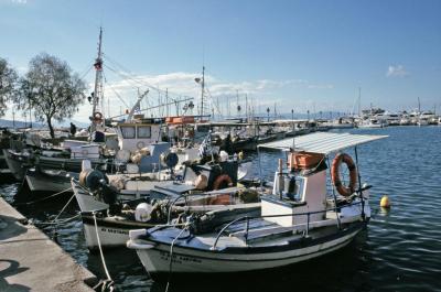 Aegina11