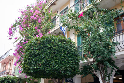 Zakynthos04