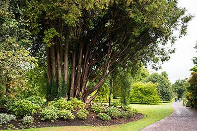 Blarney03