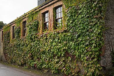 Blarney04