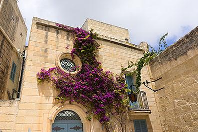 Mdina15