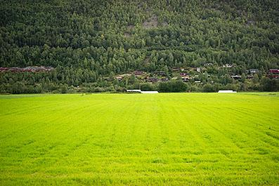NorwayCountryside03