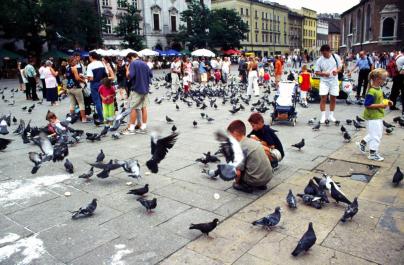Krakow21